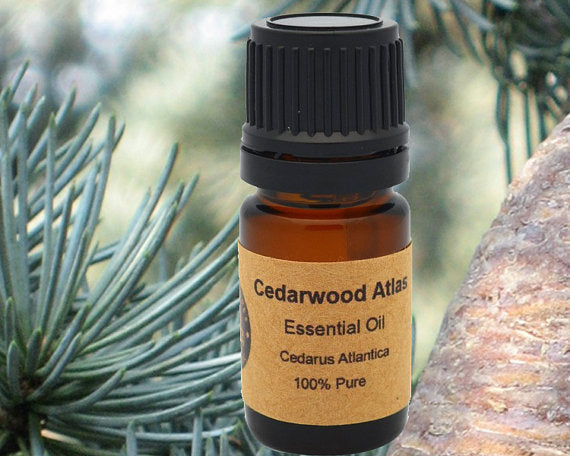 Cedarwood Atlas Essential Oil 15 ml